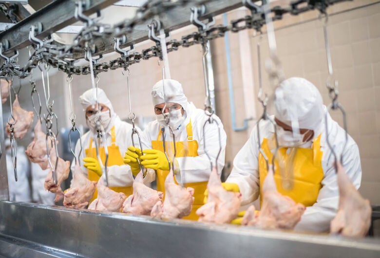 Exportação de industrializados é a maior já alcançada em MS