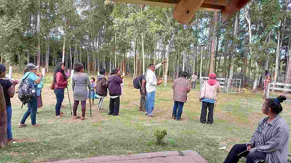 Após execução de jovem, indígenas retomam fazenda e clima fica tenso na fronteira com MS