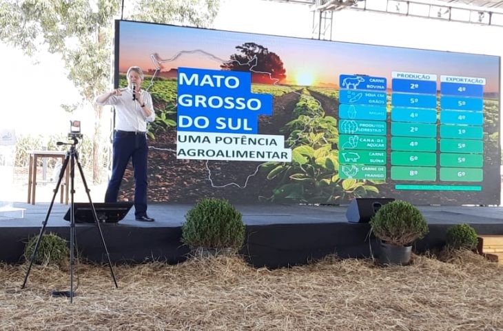 Área ocupada por soja em MS deve crescer 22% em 3 anos, aponta estudo