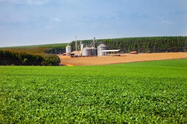 Comissão aprova projeto que desobriga produtor de averbar reserva legal