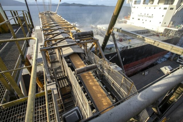 Guerra estimula exportação de milho
