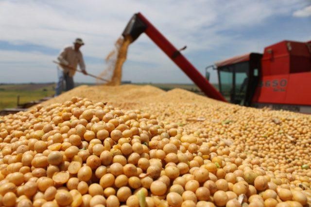 ‘Plano Safra com taxa de dois dígitos pode levar a crise forte no agro em 2022’