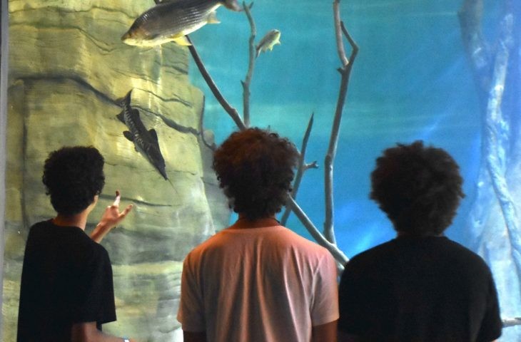 Em dois meses, 27 países fincaram suas bandeiras no Bioparque Pantanal