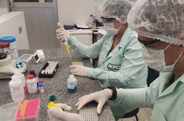 MS: Iagro obtém credenciamento para diagnóstico de peste suína e doença de Aujeszky