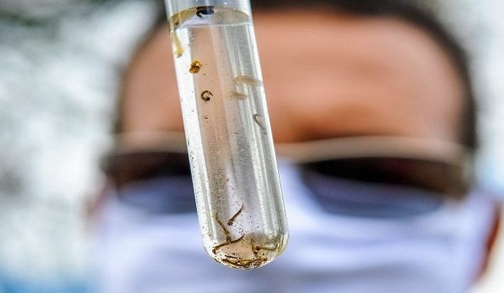 MS teve 17 mortes por dengue no primeiro semestre deste ano