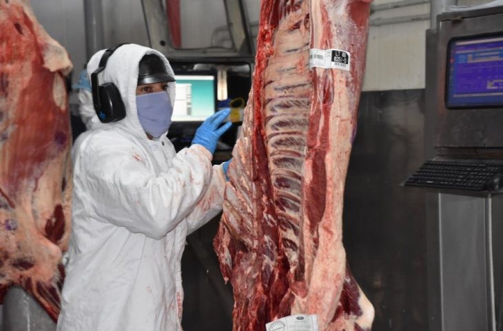 Exportações de carne crescem quase 50% em MS