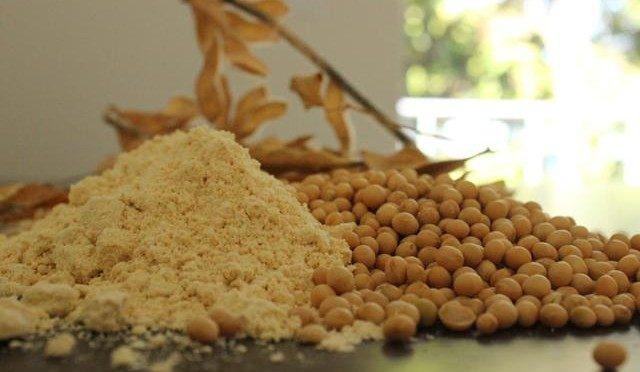 Soja: processamento do grão cresce e exportações de óleo e farelo avançam