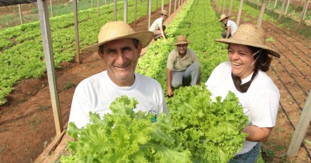 Senado pode aprovar medida que libera R$ 1,2 bi para agricultores familiares