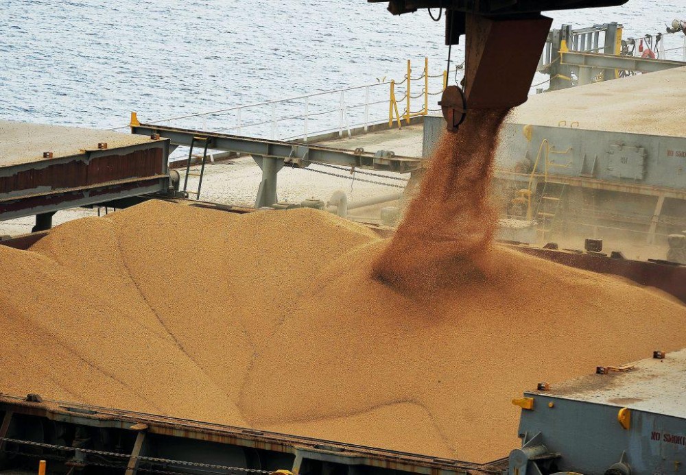 Brasil deve embarcar até 7,9 mi de t de soja em grão em julho
