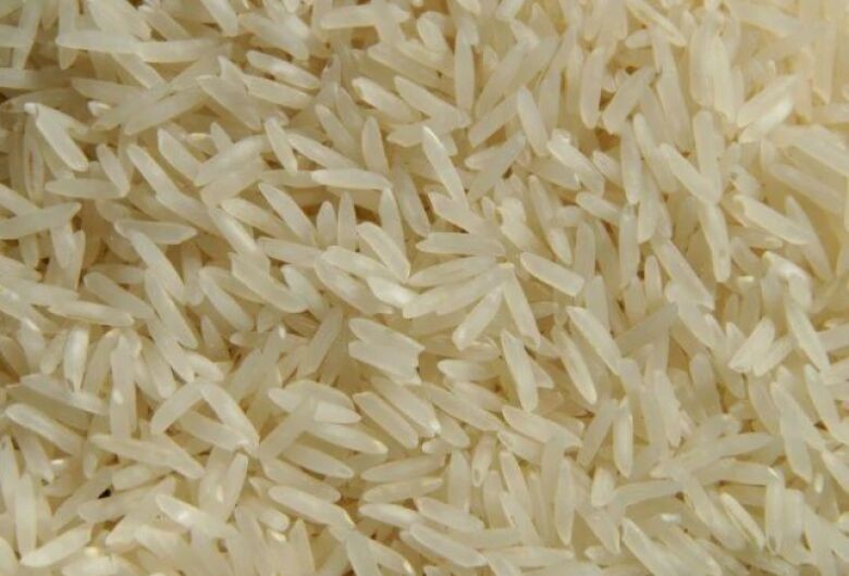 Exportações de arroz se recuperam no 1º semestre, diz Abiarroz