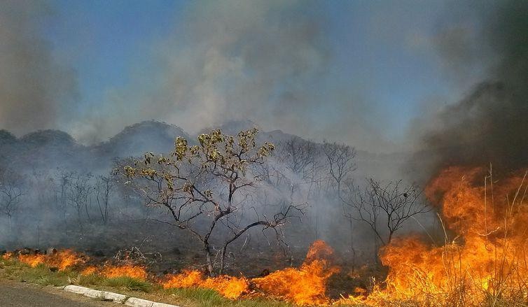 Governo do Estado decreta situação de emergência por 6 meses