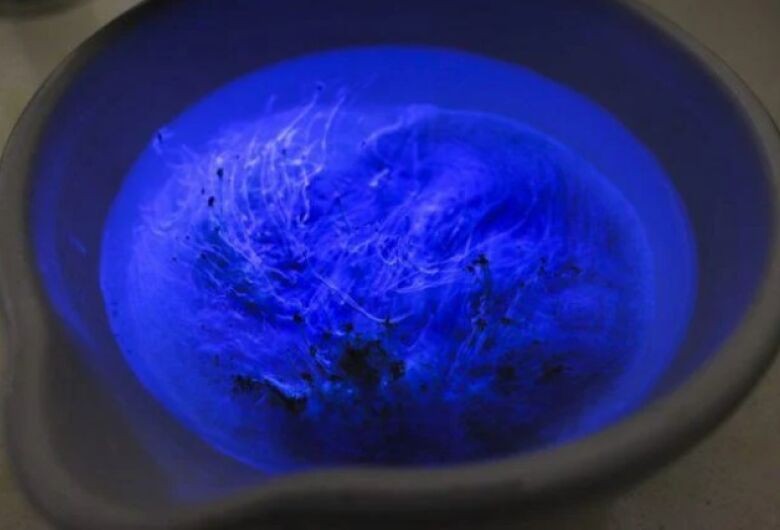 Estudo considera soja brasileira como exemplo no uso de biofertilizantes
