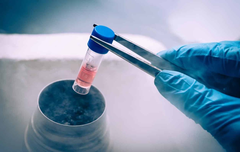 Paciente é declarado curado do HIV após receber células-tronco