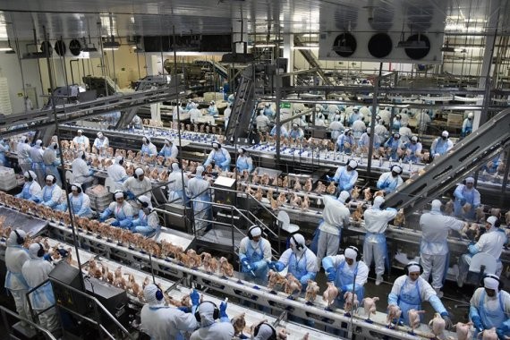 Indústria de MS gerou 838 novas vagas de emprego formal em junho