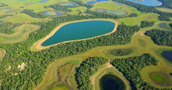 O Pantanal e o Globalismo