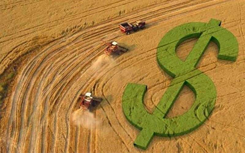 Saiba como declarar o Imposto sobre a Propriedade Territorial Rural
