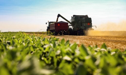 Produção de grãos deve atingir 308 milhões de toneladas, diz Conab
