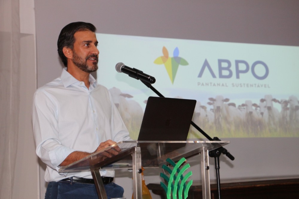 Especialistas elencam alternativas para o convívio entre bovinos e felinos do Pantanal