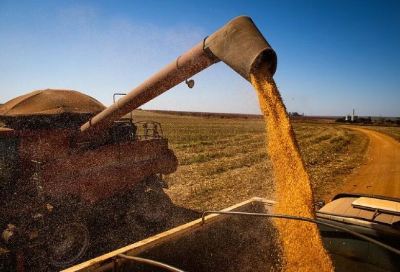 Subvenção ao seguro rural terá metade do solicitado para a Safra 22/23