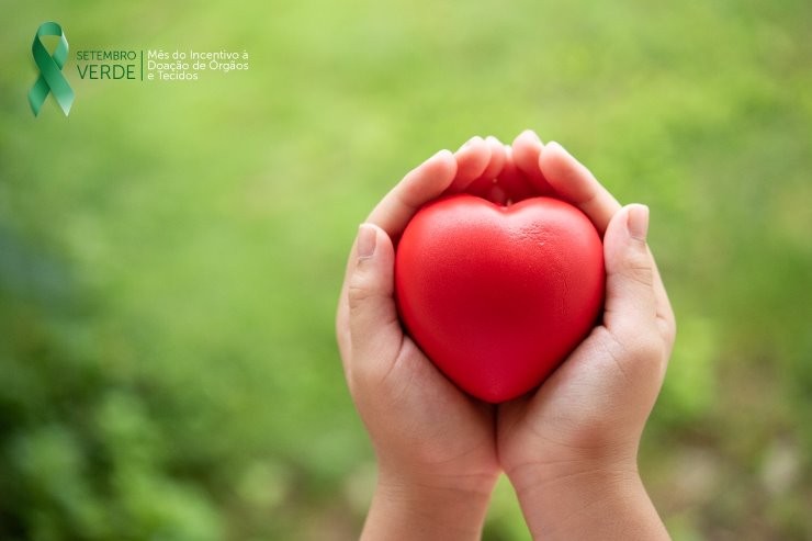 Setembro Verde: Campanha alerta para a importância da doação de órgãos