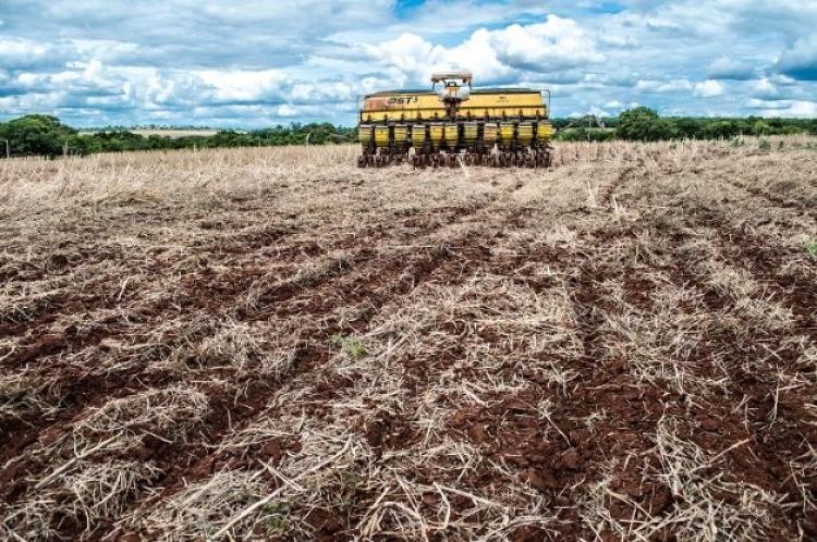 Portfólio traz 60 opções em formato presencial e virtual para cadeia produtiva de grãos