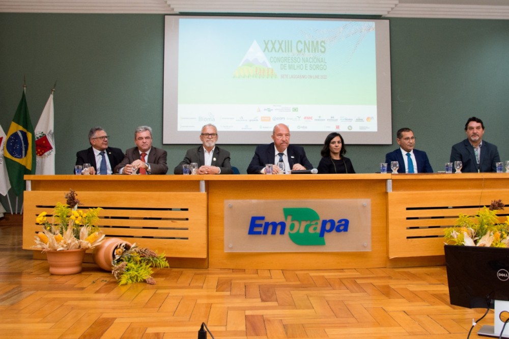 Brasil precisa de sintonia entre cadeias de grãos e proteína animal