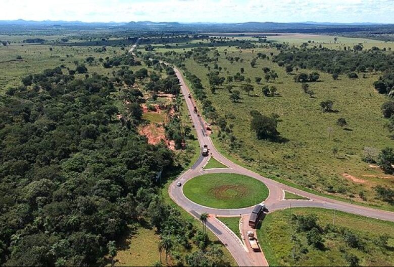 Rodovia estadual terá tela de proteção a animais