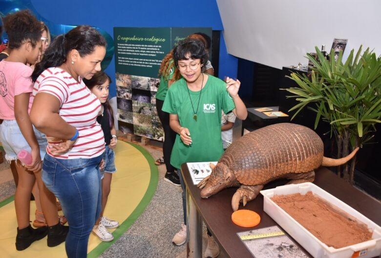 Tatu Canastra e Tamanduá Bandeira são destaques em exposição no Bioparque Pantanal