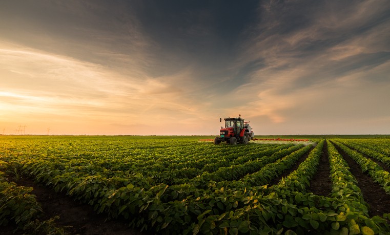 10 dias para o fim do prazo da Declaração do Imposto de Propriedade Rural