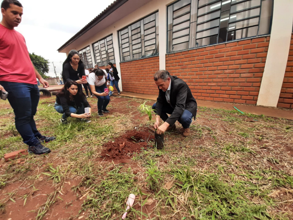 Instituições se unem em ação para comemorar Dia da Árvore em Ponta Porã