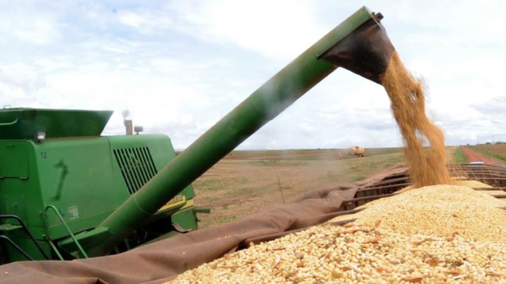 Conab inicia coleta de dados para o 1º Levantamento da Safra de Grãos 2022/23