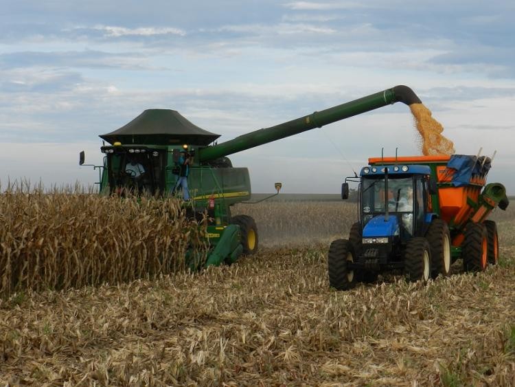 FCO impulsiona a produção agropecuária de MS no primeiro semestre de 2022