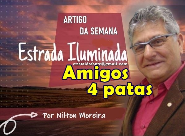 Estrada Iluminada. Amigos 4 patas