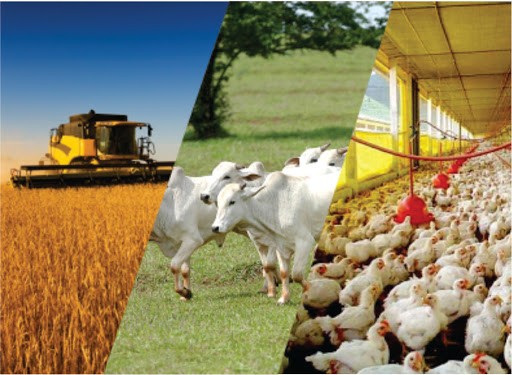 FCO impulsiona a produção agropecuária de MS no 1º semestre de 2022