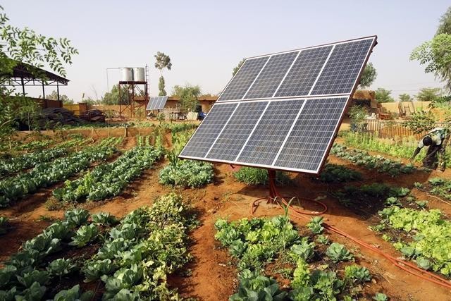 Energia solar e biogás podem fortalecer o agro