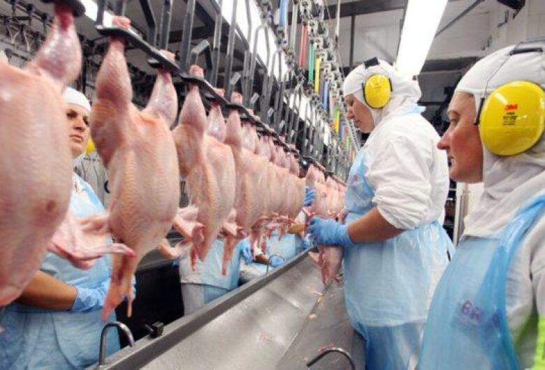 Brasil pode bater recorde na exportação de carne bovina e de frango