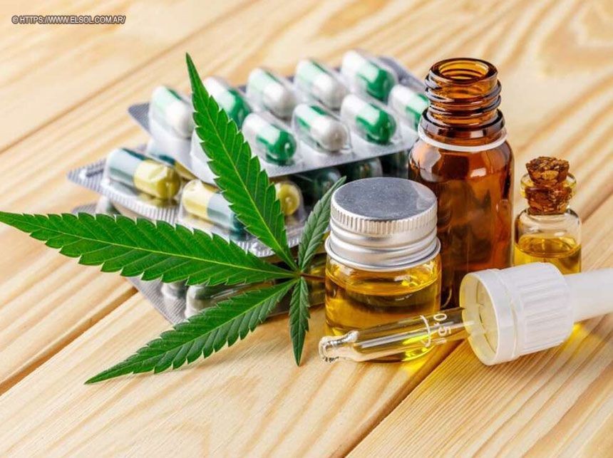 CFM suspende resolução sobre prescrição da Cannabis medicinal