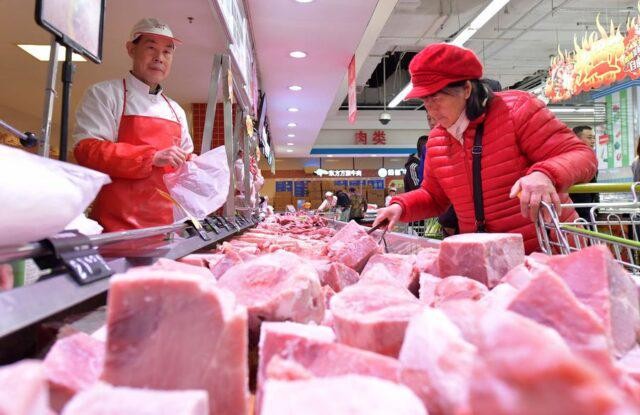 Suinocultura enfrenta crise e produtores acumulam prejuízos