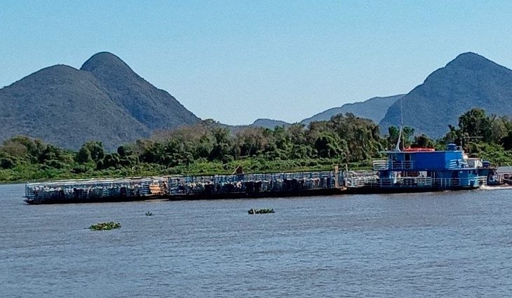 Abertura de estrada no Pantanal do Paiaguás reduzirá custo de transporte de gado e moradores