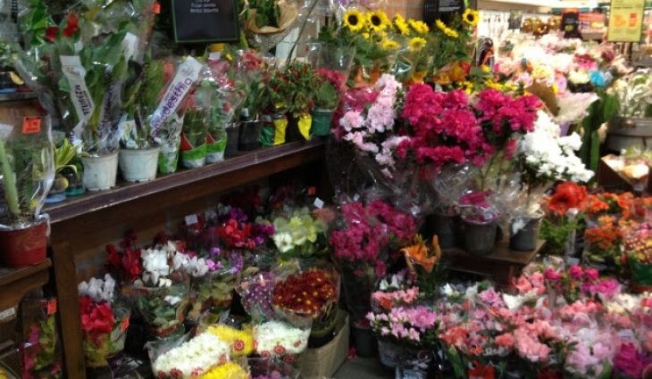Pesquisa do Procon para Dia dos Finados detecta variação de até 500% nos preços das flores