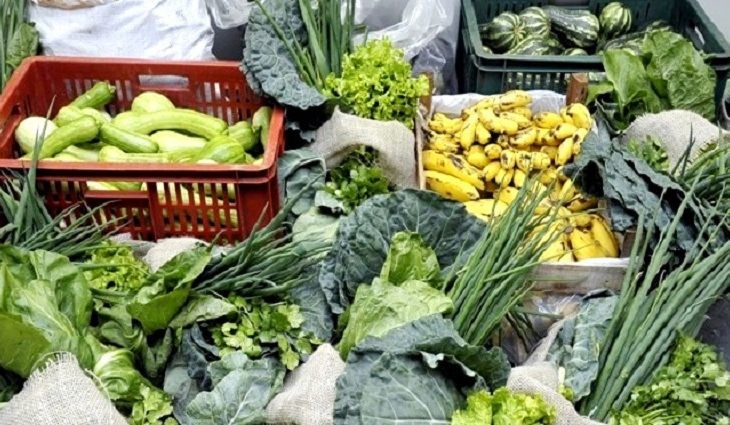 Governo destina mais de R$ 9 mi para criação de centros de comercialização da agricultura familiar