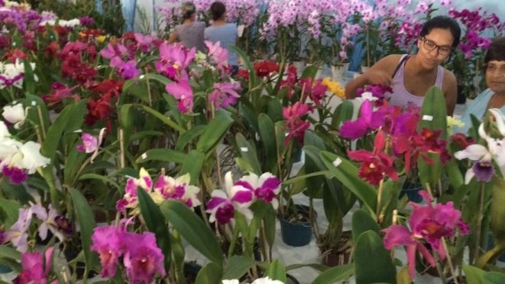Expoflor começa nesta quarta em Ponta Porã com renda destinada à Rede de Combate ao Câncer
