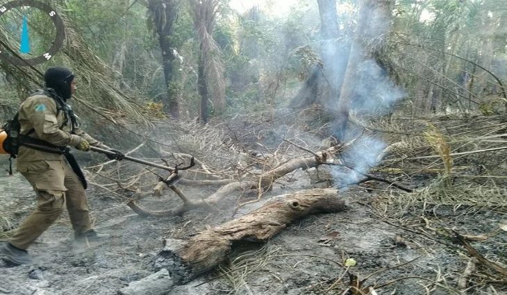 Bombeiros controlam fogo que atravessou fronteira e ameaçava reserva indígena