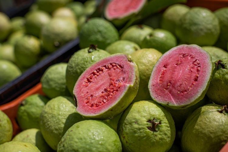 AgroBR auxilia produtores rurais a alavancarem exportações de produtos da agropecuária
