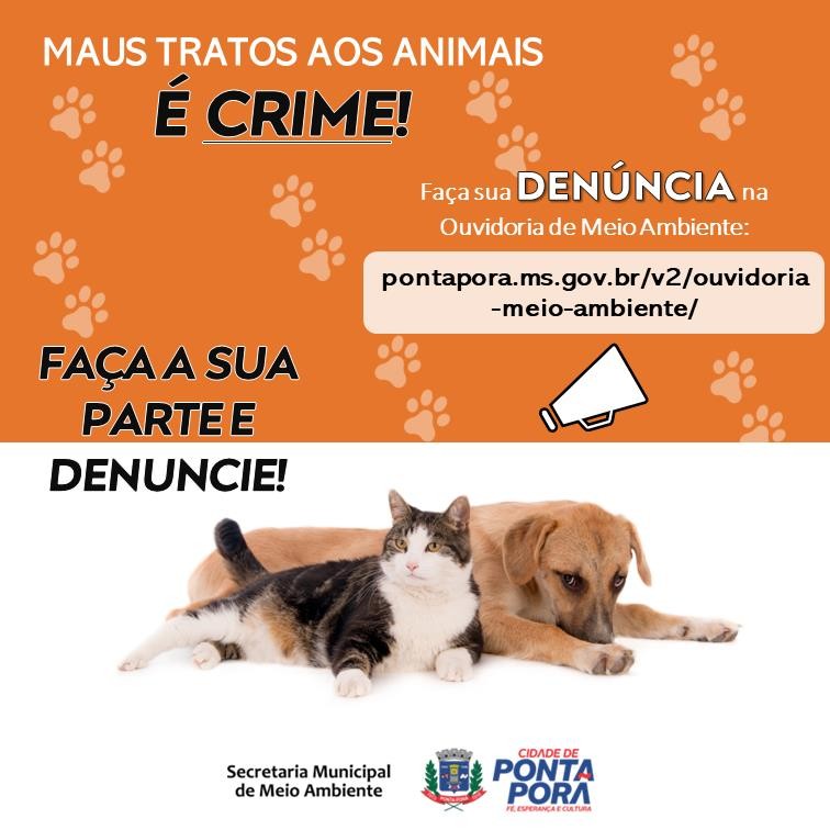 Secretaria de Meio Ambiente implanta Ouvidoria contra maus-tratos a animais