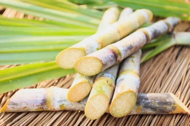 Moagem de cana-de-açúcar cresce para 26,34 mi de toneladas na 1ª quinzena de novembro