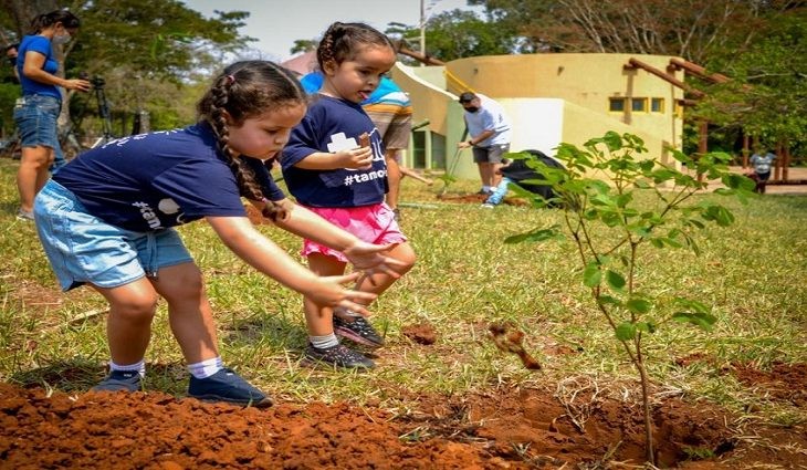 Agems realiza plantio de novas mudas no Arco dos Ipês amanhã