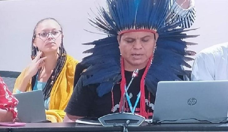 'Indígenas são 5% da população mundial', diz acadêmico na Cop27