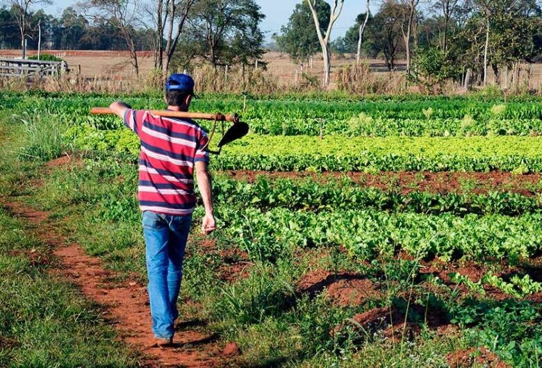 Comissão aprova proposta em benefício de agricultor ou extrativista desempregado