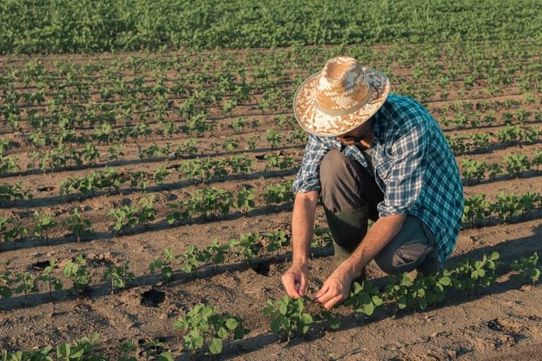 Atualizadas condições para inscrição no Cadastro Nacional da Agricultura Familiar